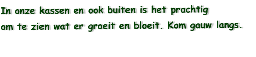 In onze kassen en ook buiten is het prachtig  om te zien wat er groeit en bloeit. Kom gauw langs.
