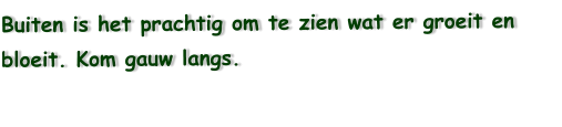 Buiten is het prachtig om te zien wat er groeit en bloeit. Kom gauw langs.